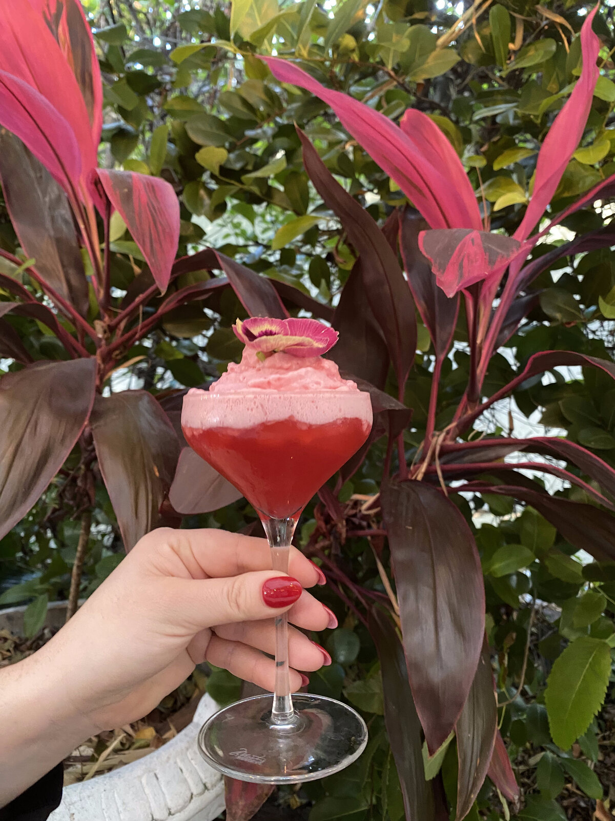 Strawberry foam coupe cocktail with edible flower garnish held against tropical foliage